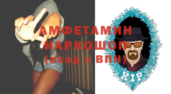 гидра Богородицк