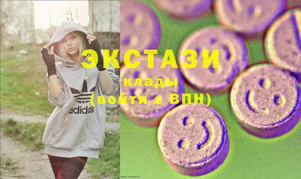 гидра Богородицк