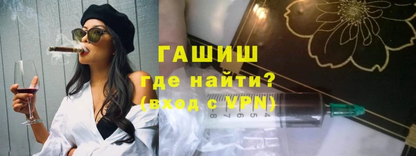 гидра Богородицк