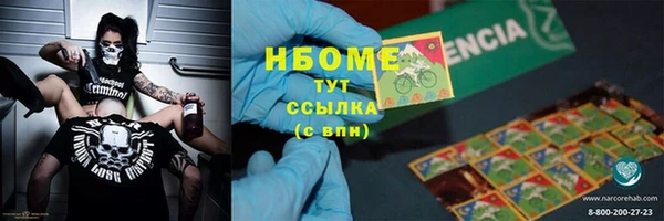 гидра Богородицк