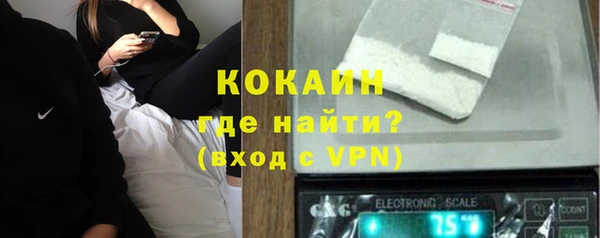 гидра Богородицк