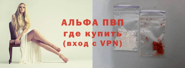гидра Богородицк