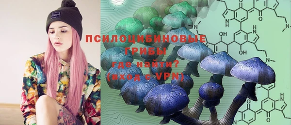 гидра Богородицк